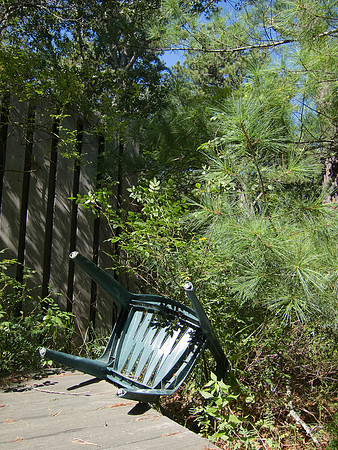 Hurricane damage