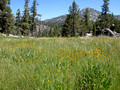 Mono Hot Springs, August 2010