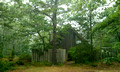 Cape Cod, 2011