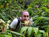 wild ginger sniffer